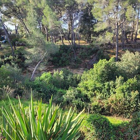 Le Repaire De La Cadiere A 5Mn Des Plages ! Saint-Cyr-sur-Mer Exterior foto