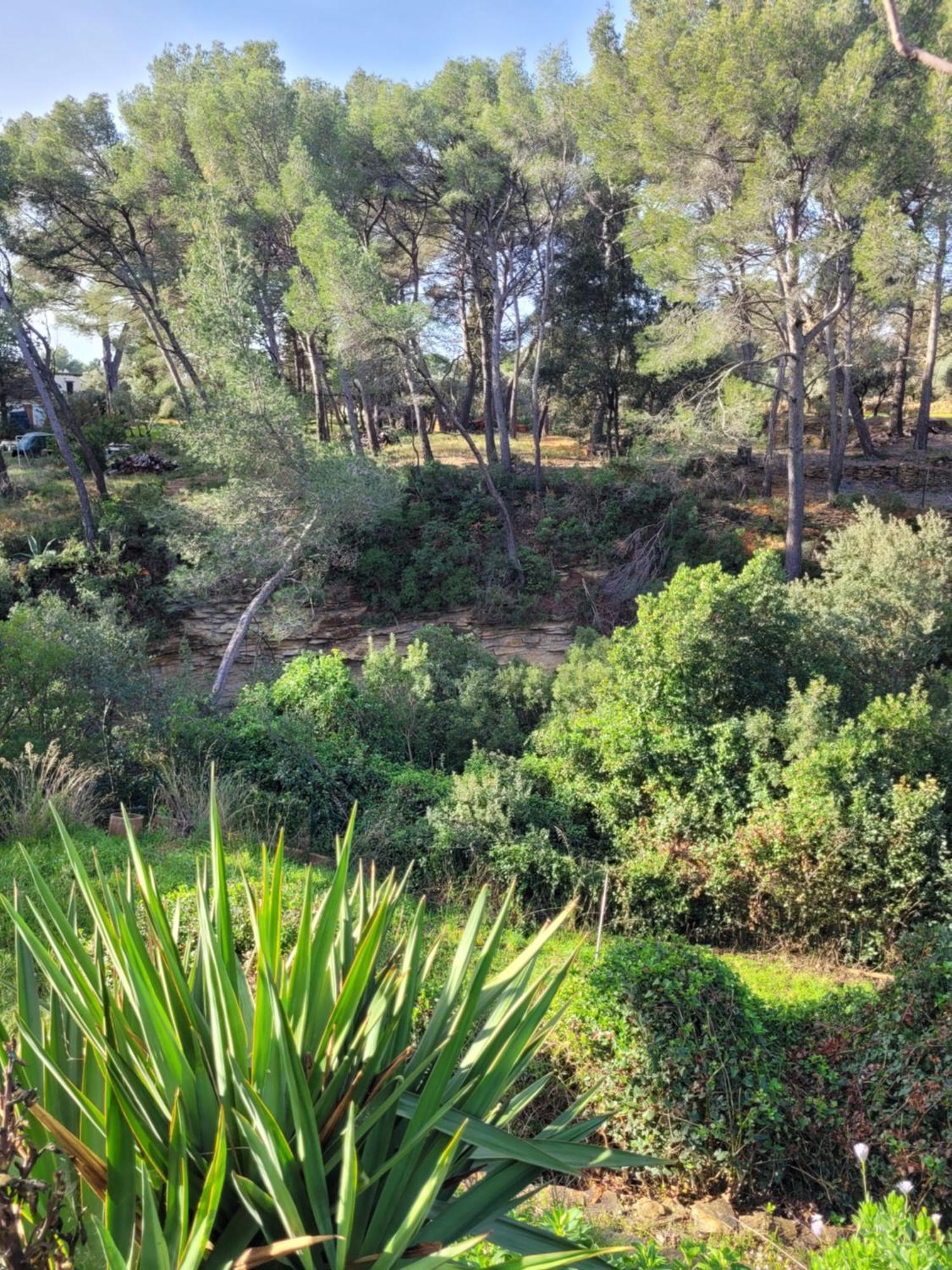 Le Repaire De La Cadiere A 5Mn Des Plages ! Saint-Cyr-sur-Mer Exterior foto